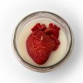Świeca sojowa zapachowa 160g/235ml - Anatomia Miłości